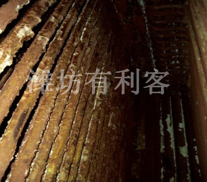 ̿偠tǰ